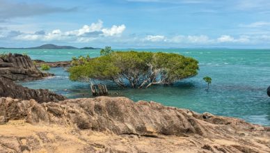 Cape York Is Queensland’s Last Wild Frontier