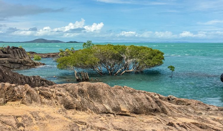 Cape York Is Queensland’s Last Wild Frontier